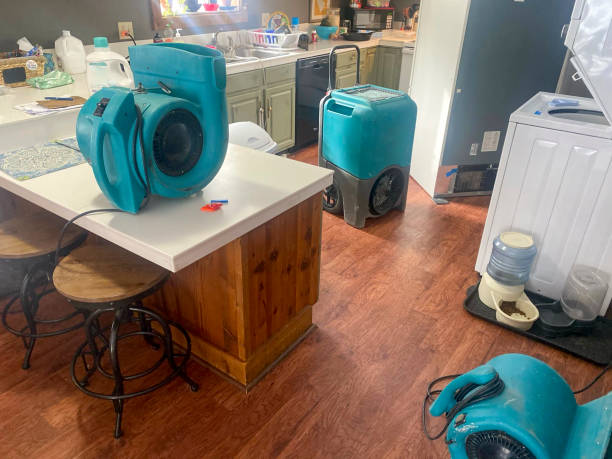 Best Water damage contractors near me  in Eagle Point, AL