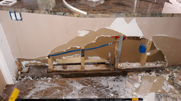 Best Flooded house restoration  in Eagle Point, AL