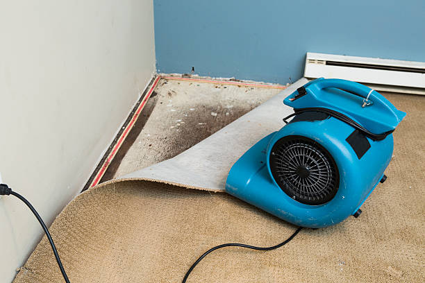 Best Flood damage cleanup  in Eagle Point, AL